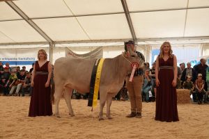 Gesamtchampion OB DOM DALINA